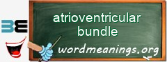 WordMeaning blackboard for atrioventricular bundle